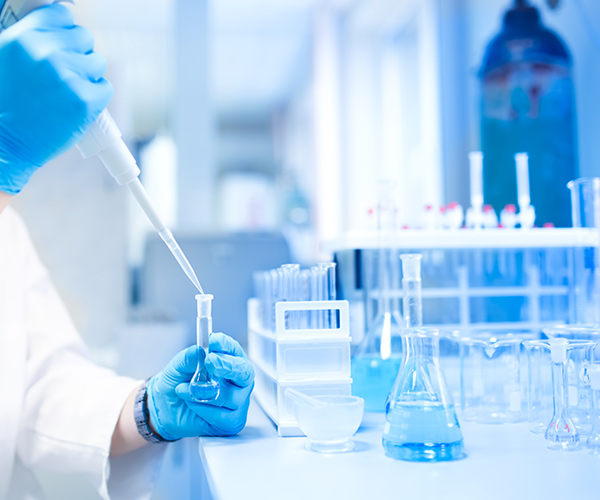 lab